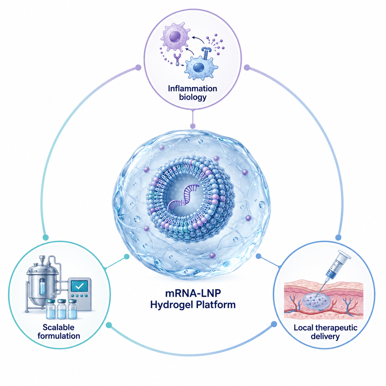 Circular scientific infographic showing a central mRNA-LNP hydrogel platform surrounded by three connected capability areas: inflammation biology, scalable formulation, and local therapeutic delivery.
