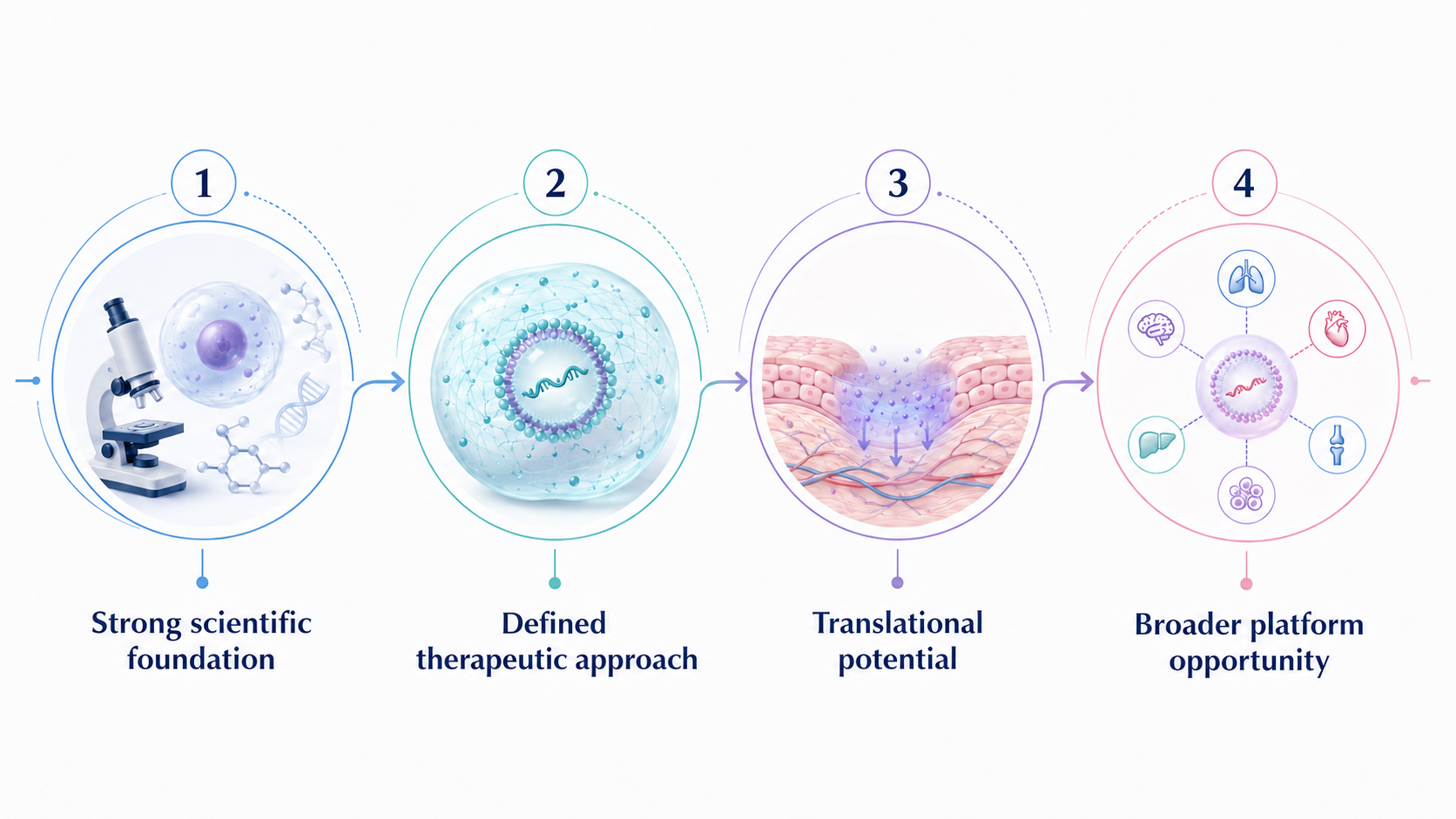 Four-part infographic showing EVolution Therapeutics’ value proposition: a strong scientific foundation, a defined therapeutic approach based on an mRNA-LNP hydrogel platform, translational potential through local tissue delivery, and broader platform opportunities across multiple disease areas.
